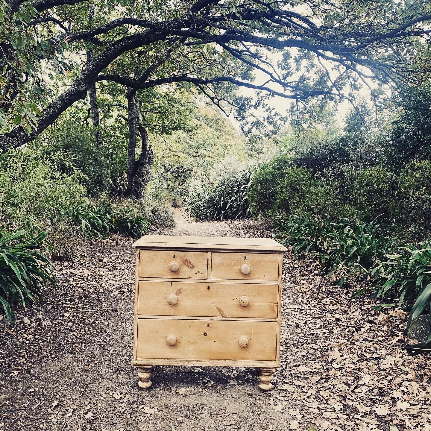 19th Century Pine Drawers